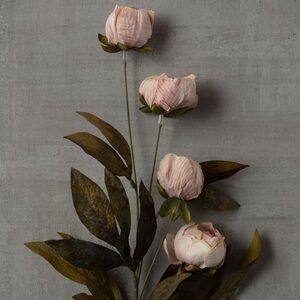 Viral Michaels Ashland Tan Peonies - Set of 8 Stems NEW IN
BOX Flowers Pink